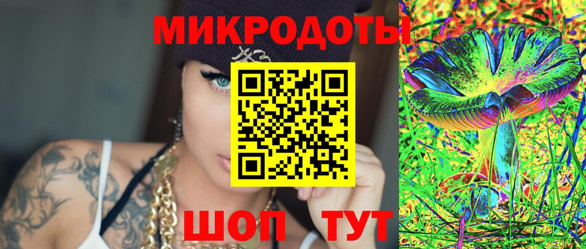 Камень-на-Оби  Галлюциногенные грибы мухоморы  продажа наркотиков  Вход с VPN 