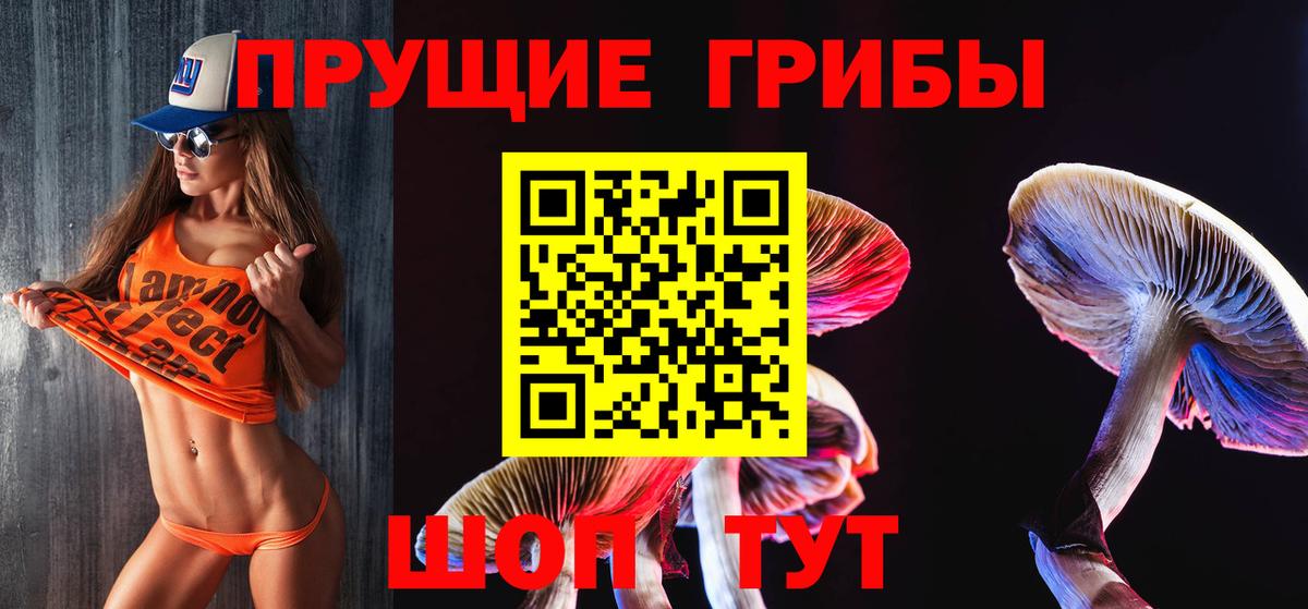 Галлюциногенные грибы Psilocybe Камень-на-Оби